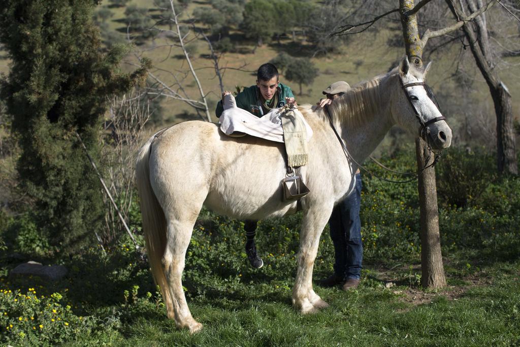 Cortijo El Berrocal Casa de hóspedes Cazalla de la Sierra Exterior foto