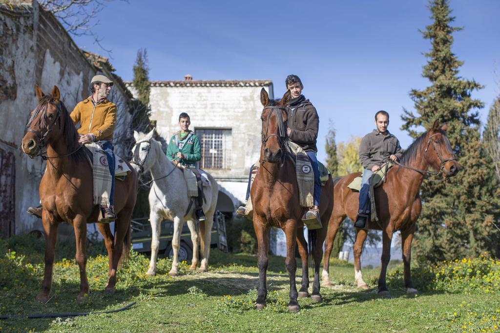 Cortijo El Berrocal Casa de hóspedes Cazalla de la Sierra Exterior foto